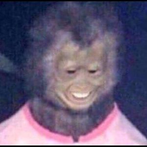 Meet your Posher, Yessica